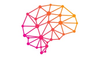 nad_about_sa_brain