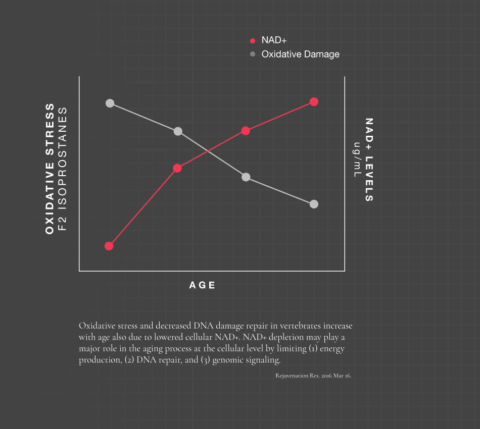 Graph of how NAD+ levels decline as we age and oxidative damage increases in direct relation.