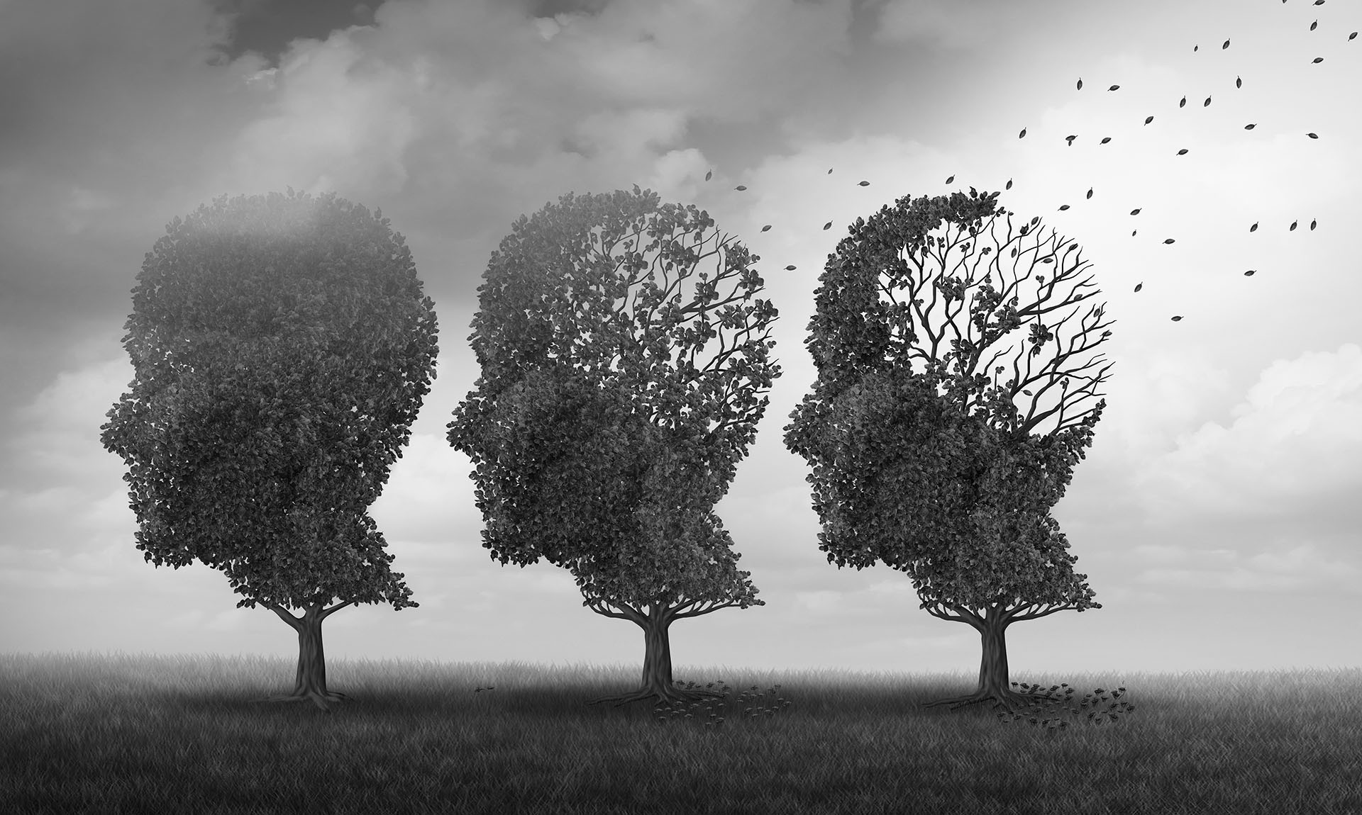 Memory and Magnesium